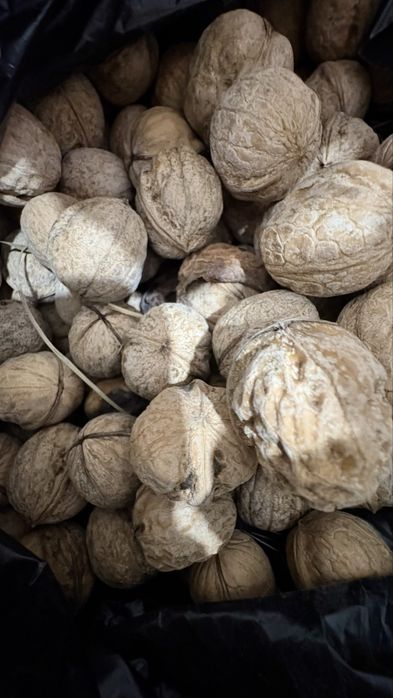 Орехи грецкие натуральные