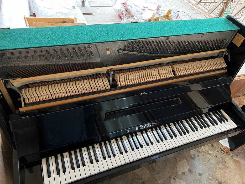 pionino Belarus tashkent