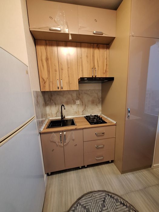 Аренда Квартира 1 комнатное евро 2.