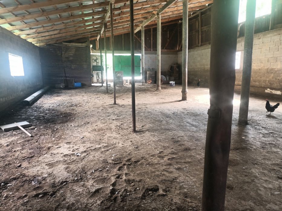 К.х 125 соток. Дом и ферма 30 на 10 для КРС