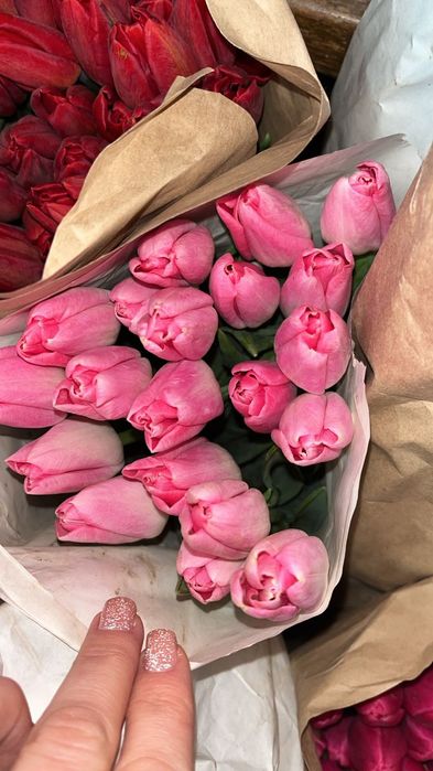 Тюльпаны голландские. СКИДКА!