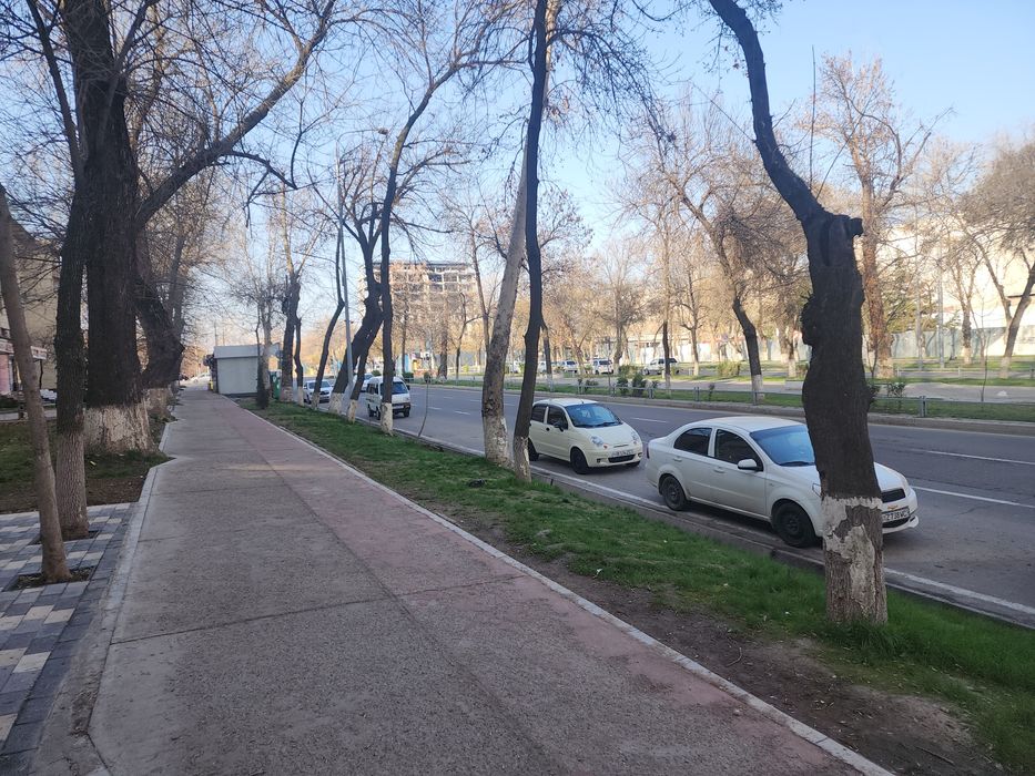 Аренда: Помещение ор: Ватан 1-линия