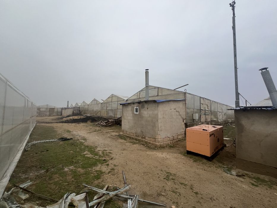 Теплицы срочно сатылады