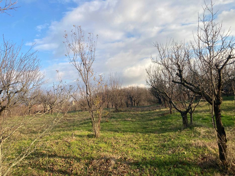 Vand teren intravilan Ciocanai Mosoaia