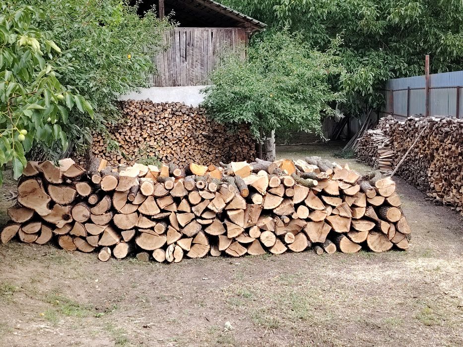 Lemne de foc ,livrare gratuita