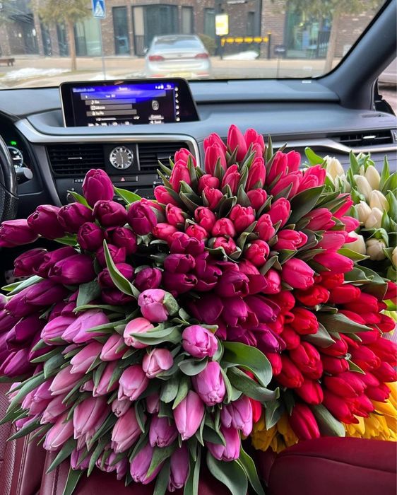 Тюльпаны оптом 320 тг оптом голландия