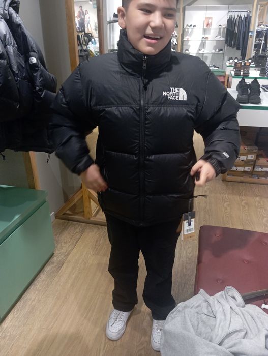 Куртка the north face
