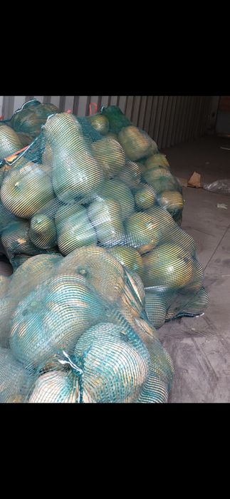 Тыква сетками и на развес