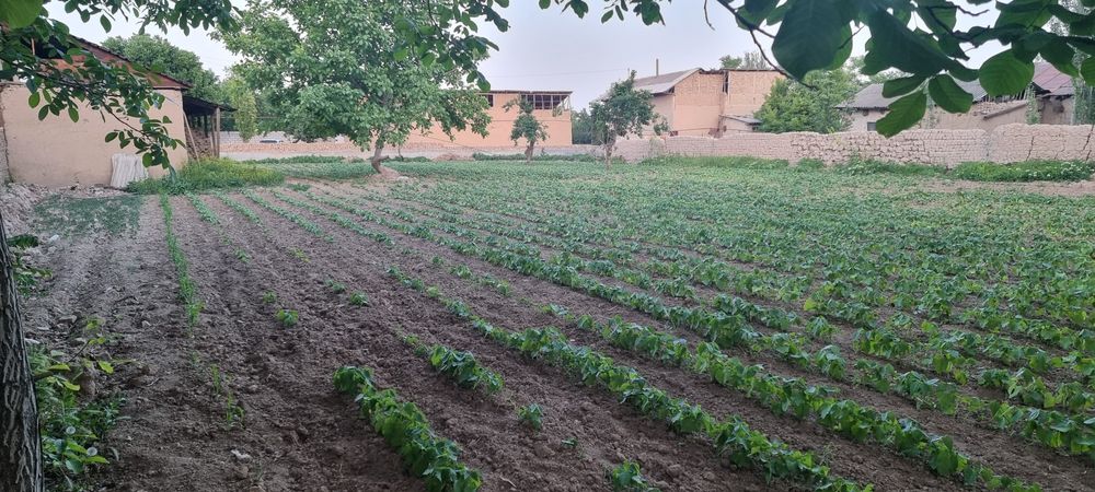 Ховли ер сотилади