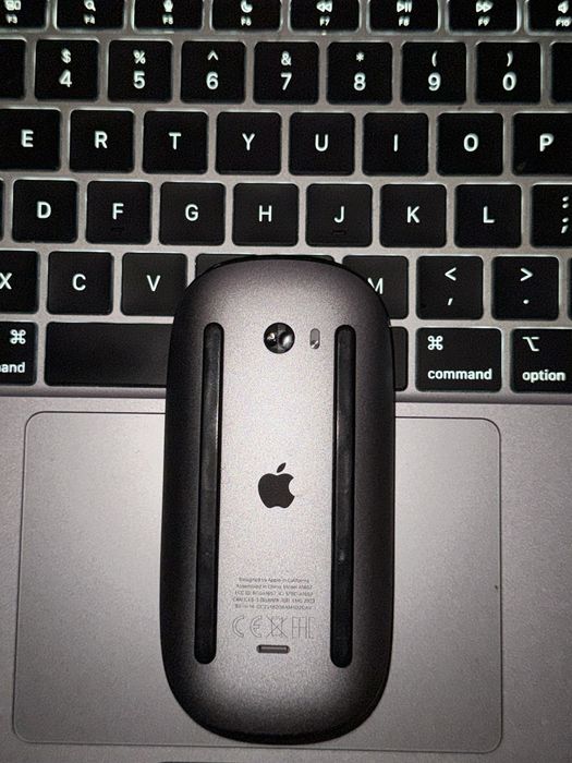 Magic Mouse Apple