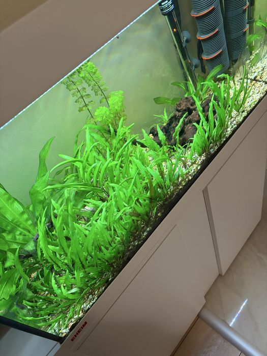 Аквариум EHEIM 126 литра напълно оборудван