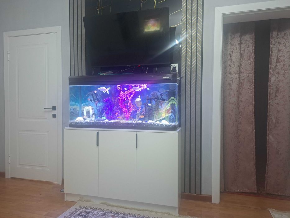 Завадской Аквариумы рыбками