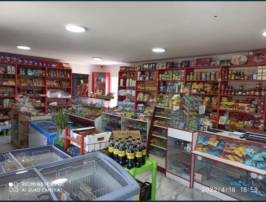 Продам дом с действующим бизнесом