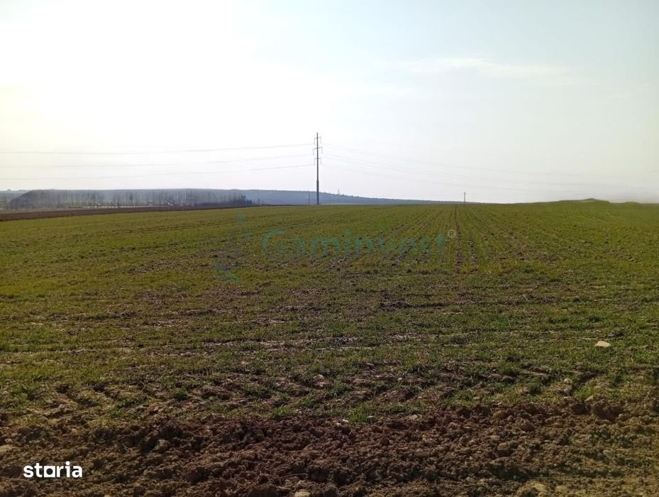 Teren in Biharia cu o suprafata de 20000 mp intravilan,Gaminvest V4214