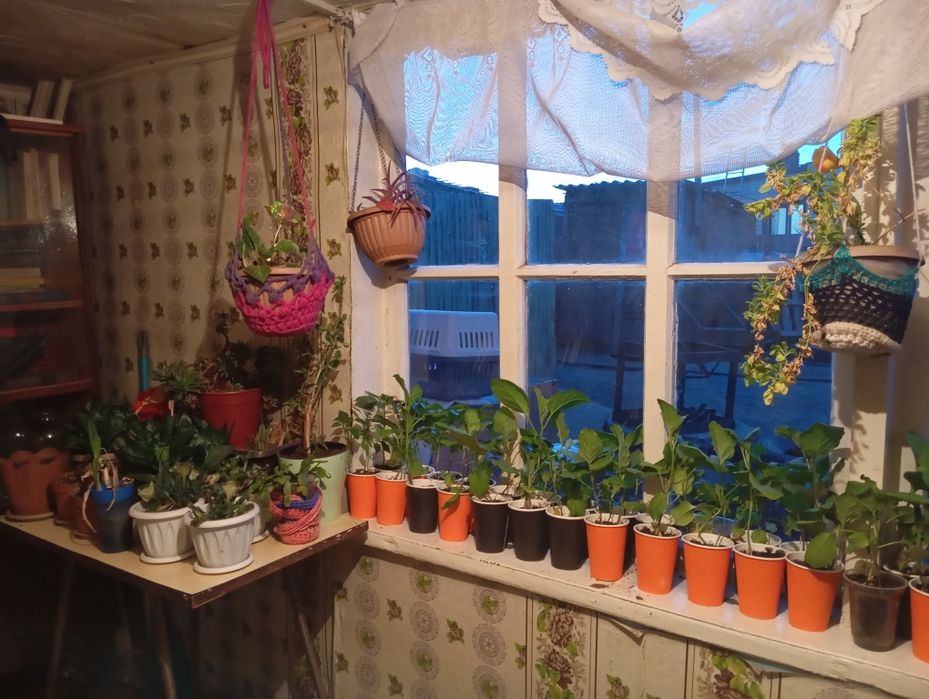 Продам очень теплый дом , хоз постройки , огород ,