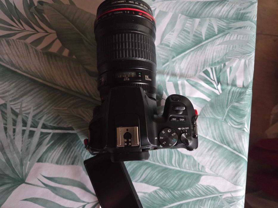 Продава/заменя Canon EOS 250D камера (само тялото)