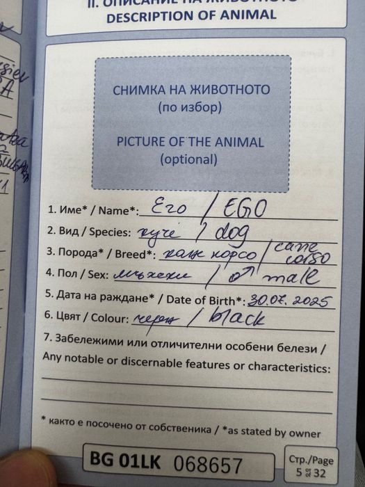 Ego Cane Corso Его Кане Корсо