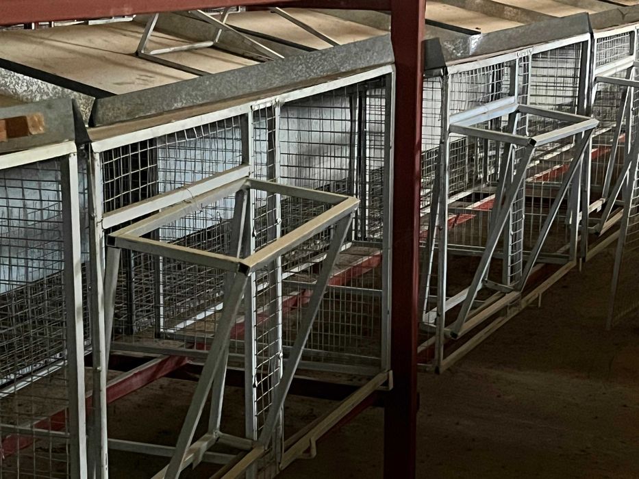 клетки для кроликов