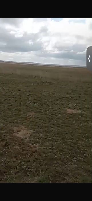 Земля для сельский хозяйство
