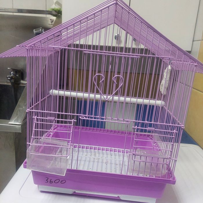 Маленькая Клетка