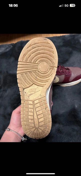 Adidasi Nike Dunk High