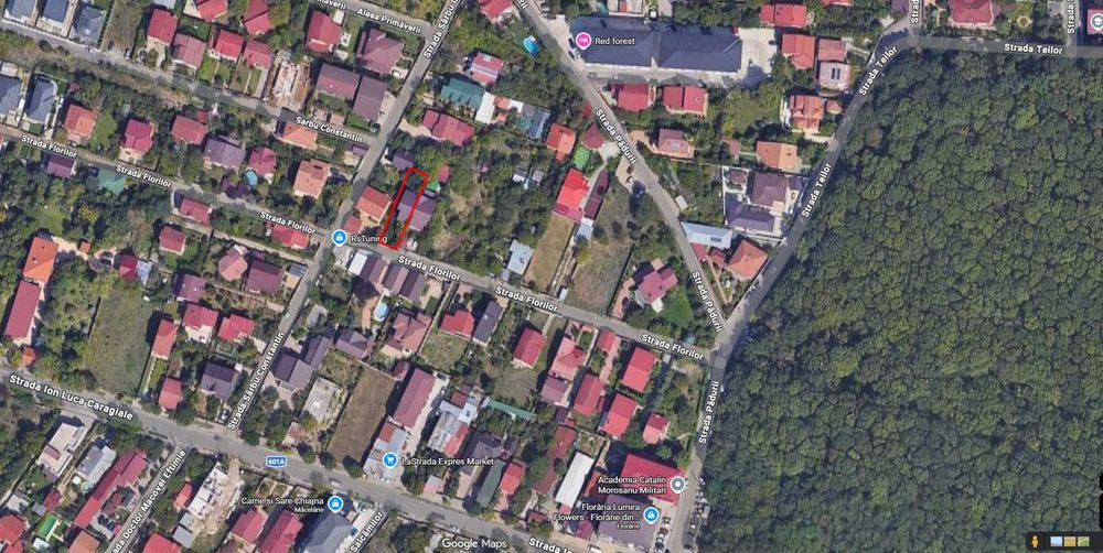 Casă P+1+M, 195 mp utili, teren 364 mp – Chiajna, la 200 m de pădure | Comision 0% cumpărător