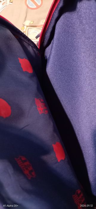 Раница за училище