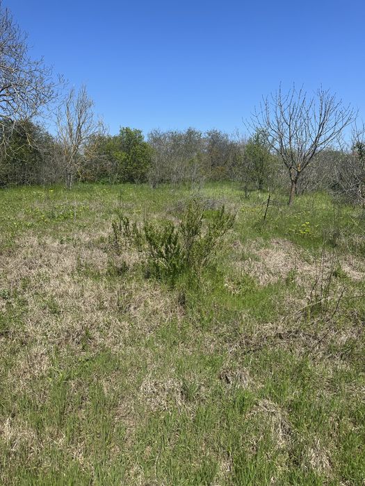 Продава се Къща в Варна, Възраждане 1 - 80 кв.м за 625 €/кв.м - Снимка #3