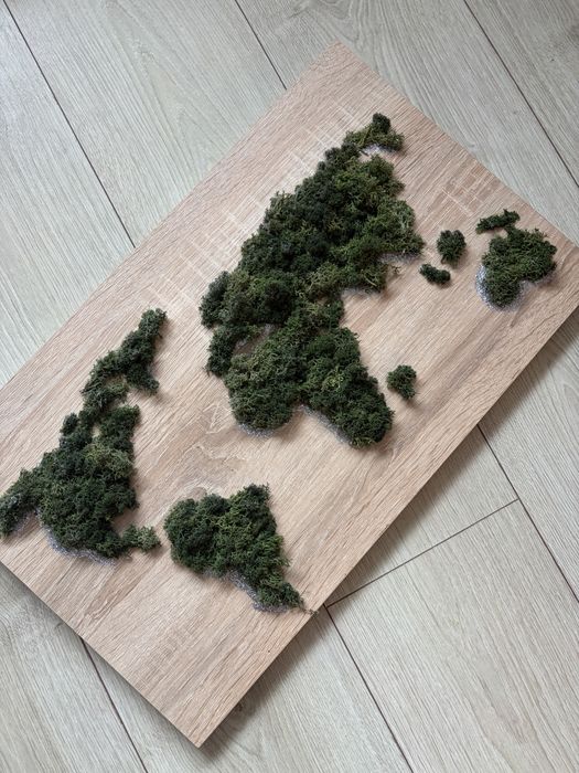 Tablou cu licheni naturali pe placa de pal