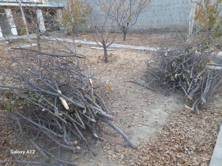 Ағаш отындыққа жарамды