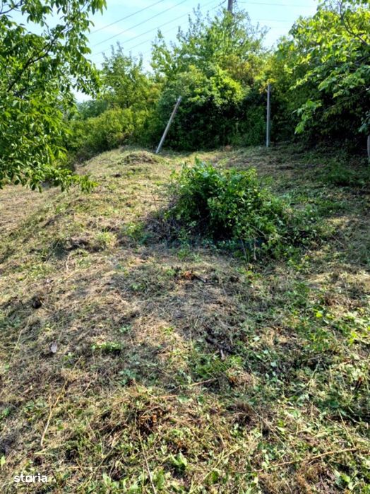 Teren de vanzare cu priveliste, Doja, 810 mp, Oradea, Gaminvest,V1189A