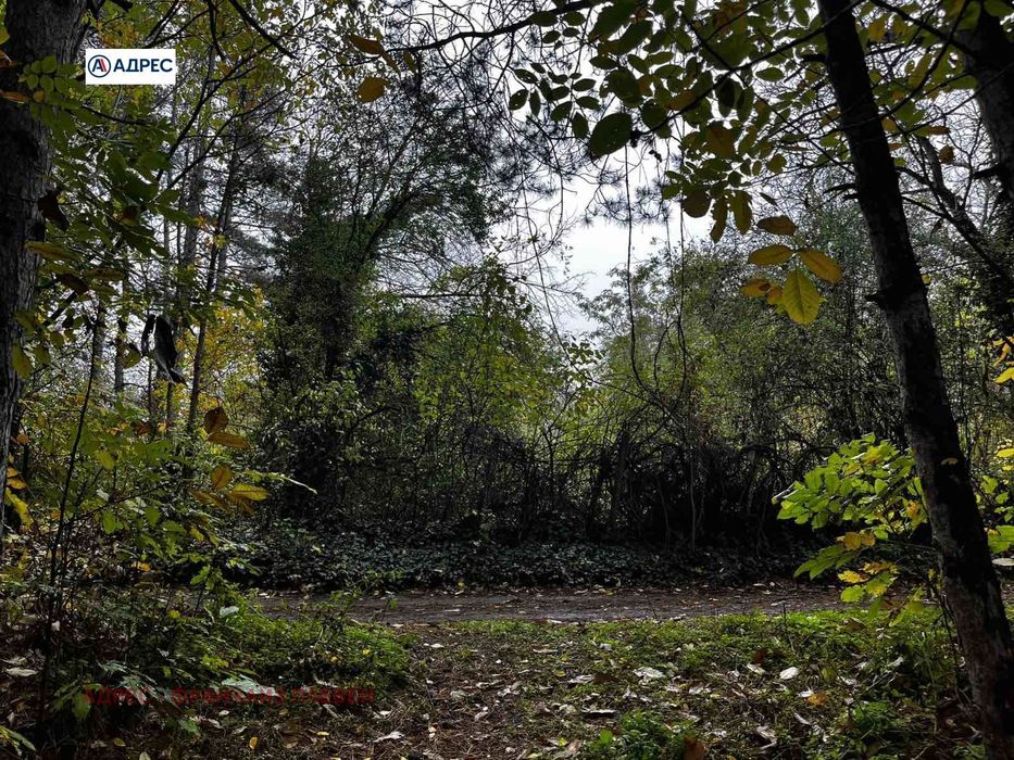 Продава се Парцел в Плевен, Кайлъка - 750 кв.м за 8 €/кв.м - Снимка #5