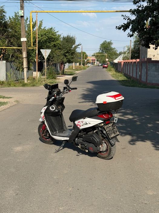 Лия самурай 2025