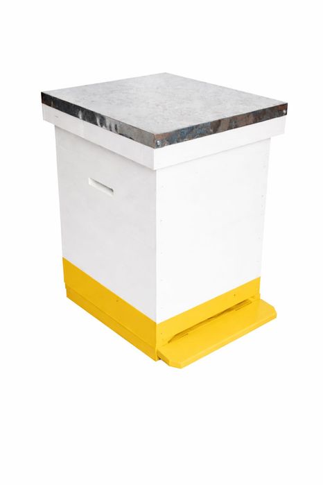 strupi albine pe 10 rame