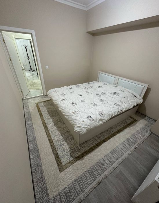 Mirzo Ulugʻbek Pushkin metro yaqnida aren