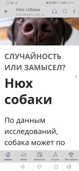 Щенята! Охотничий тьрьер!девочки, и мальчики.