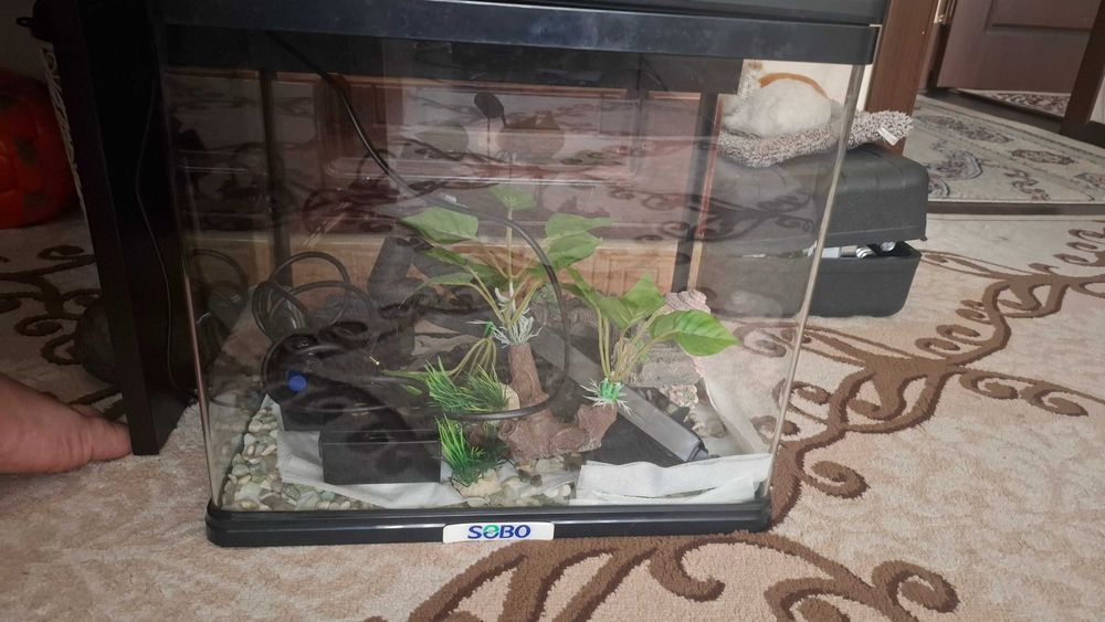 Аквариум на 30 литров