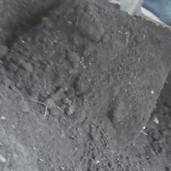 Чернозем.  Таза көң