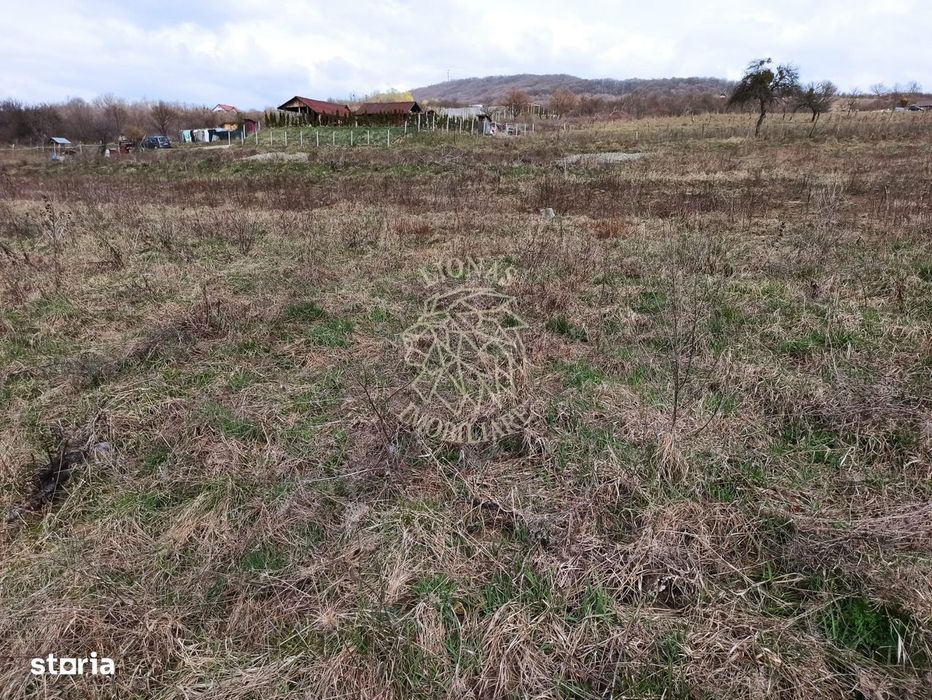 Teren intravilan 500 mp-ideal casa-Zona Dr. Tarpiului