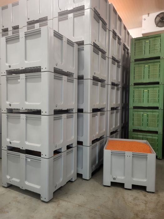 Vand Livada Cătina Arad