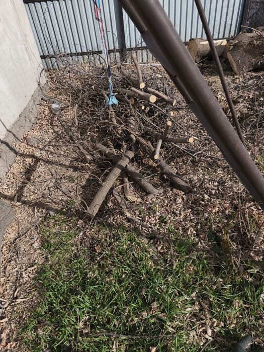 Продам на дрова. 10тенге