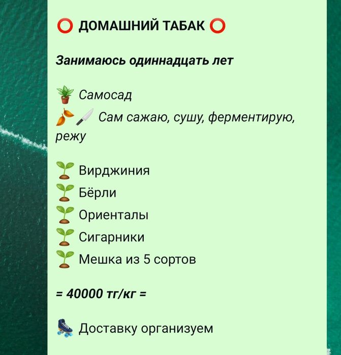 ДОМАШНИЙ самосад