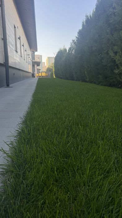 Автополив газон с гарнтий