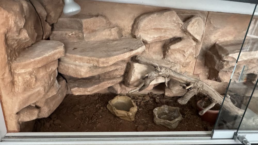 Терариум 480литра + шкаф