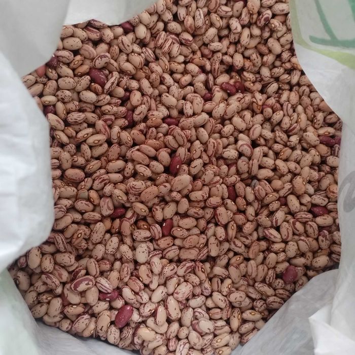 Fasole pestriță sac 25 kg