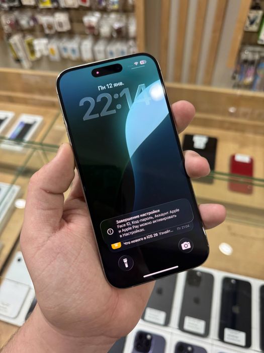 iPhone 15 Pro Natural Titanium 256GB 81%