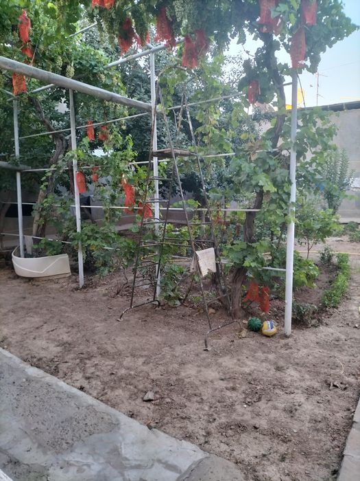 Участок, 4,3 соток