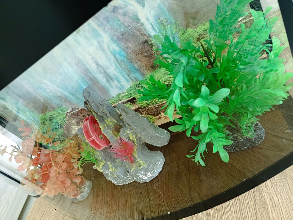 Akvarium sotiladi