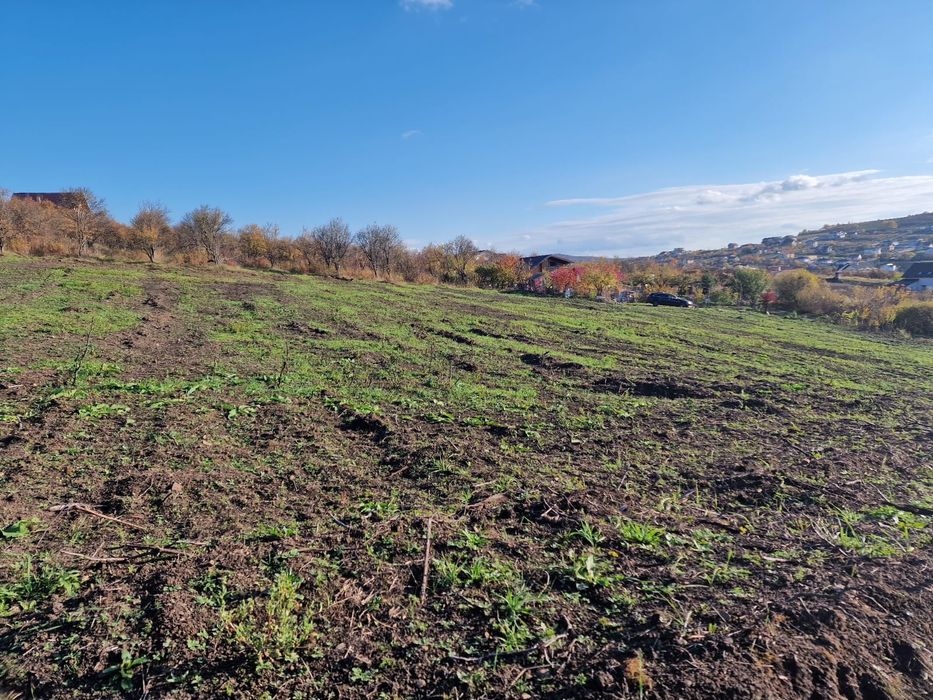 Teren intravilan Bistrita