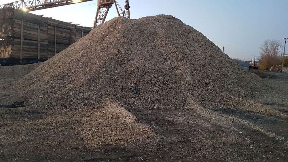 Опилки древесные